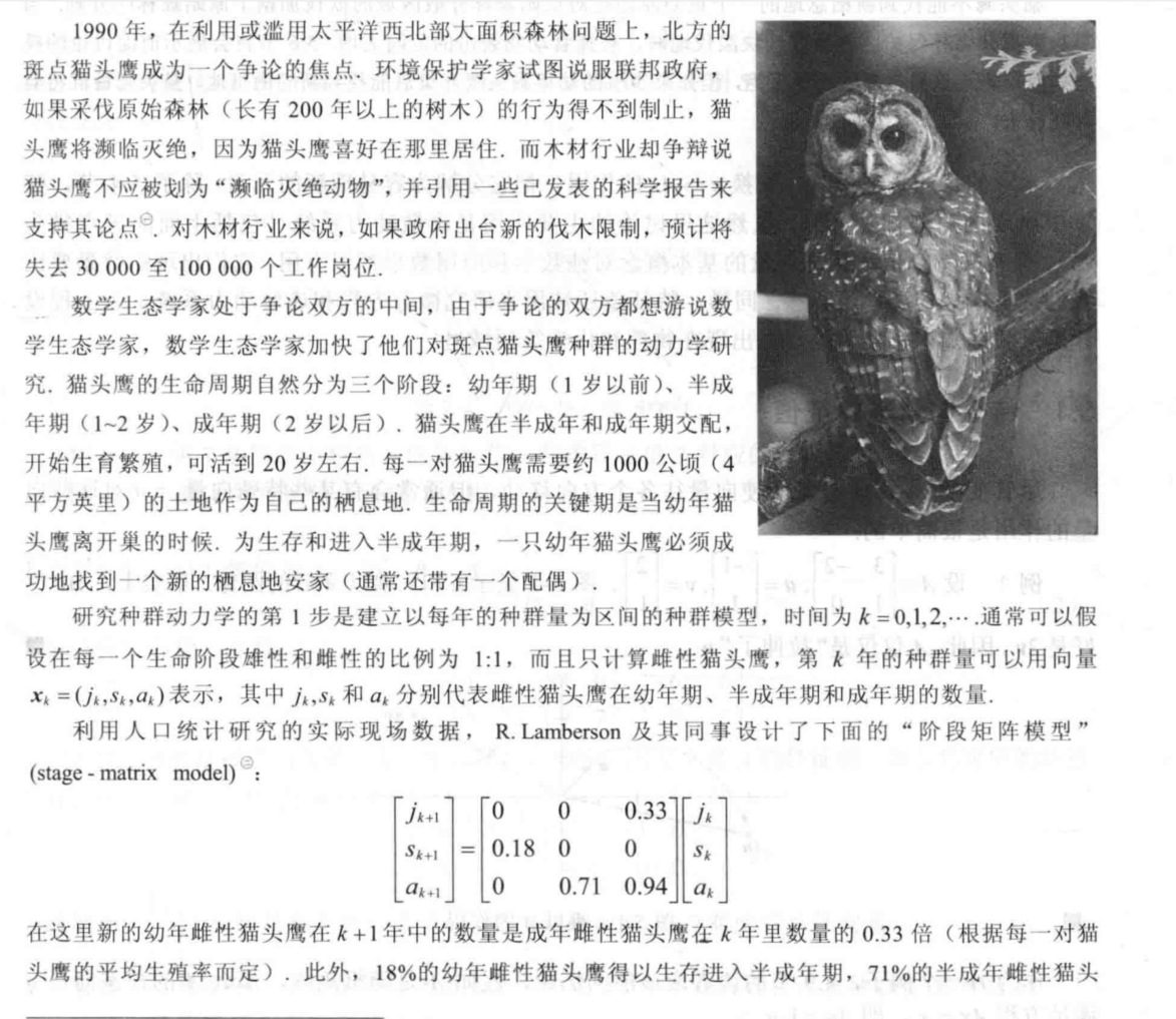 斑点鹰