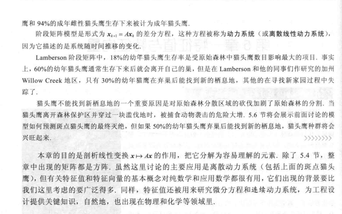 斑点鹰